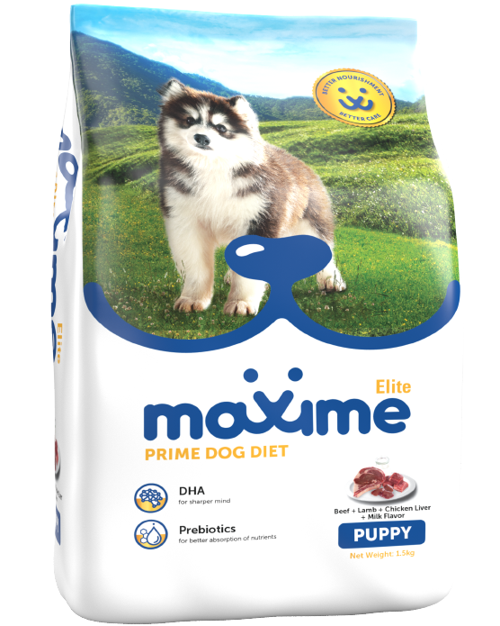 Pet Food Woofy Dog Food and Tommy Cat Food Pilmico