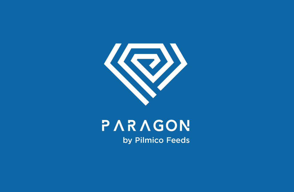 Paragon