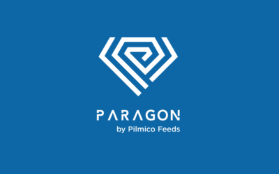 Paragon