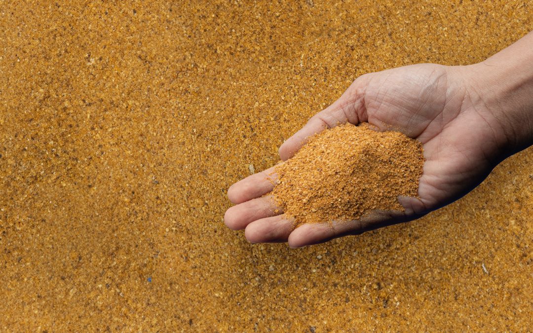 From Waste to Taste: The Role of DDGS in Modern Animal Nutrition